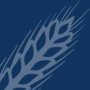 Otto Frauen GmbH & Co. KG Logo