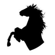 Sonka Holtköpper Paddock Trail Ehrenberg Logo
