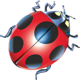 Paecher Logo