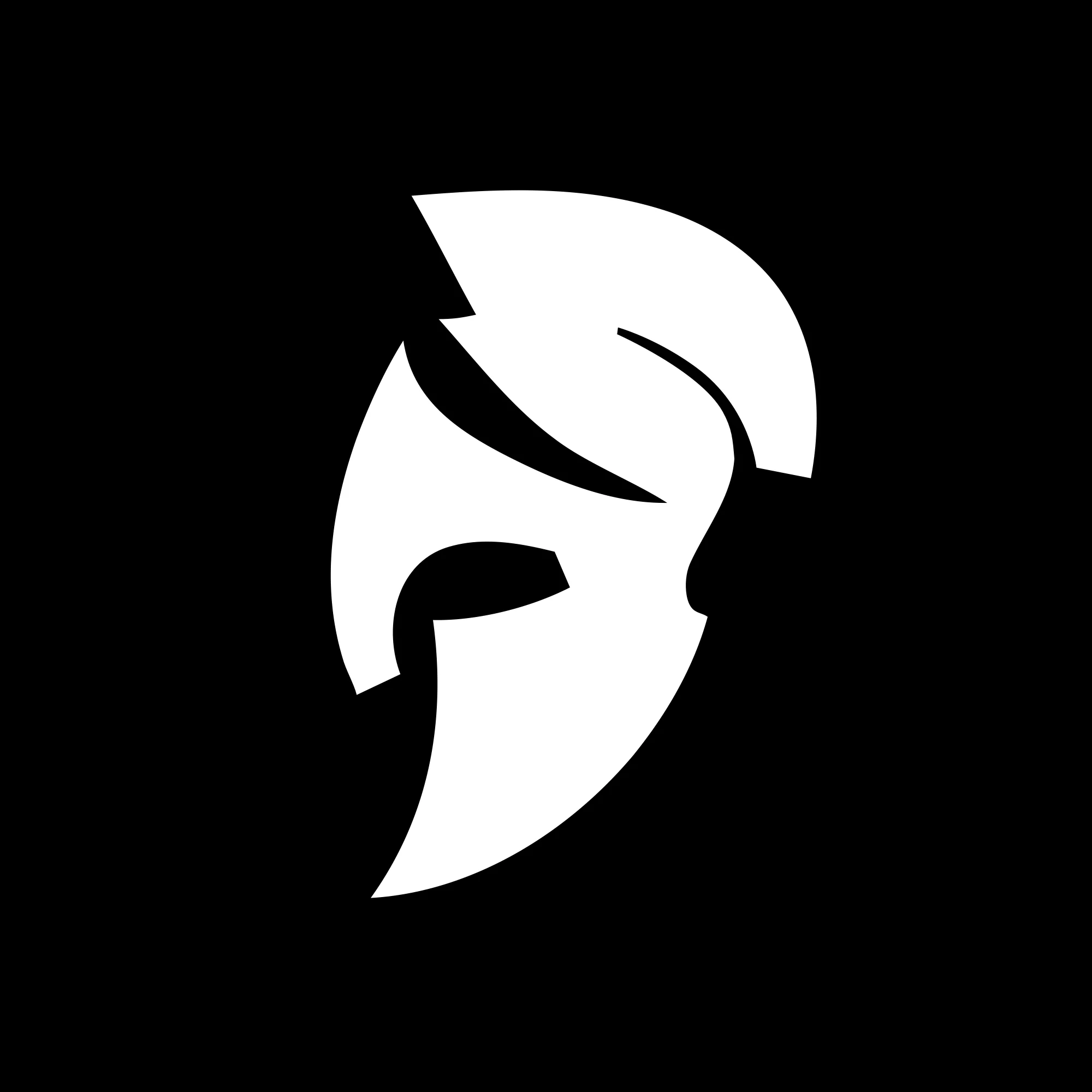 Paradox Tactical Logo
