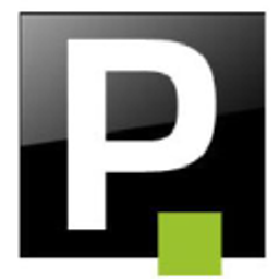 Pauldirekt Logo
