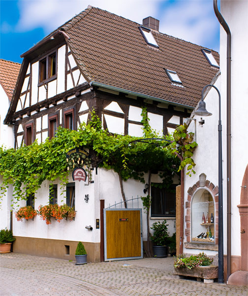Hilsendegen Paul, Hilsendegen Martina Weingut Logo