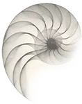 Ross Uwe H. Priv.-Doz. Dr. med. HNO-Arzt TSP: Tinnitus-Therapie Logo