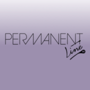 PERMANENT-Line GmbH & Co. KG Logo