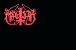 Perverted Taste Music GmbH Logo