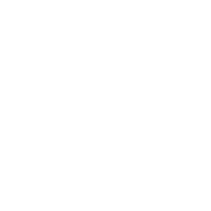 pfenning Group Logo