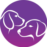 Verena Ott - pfotenheil - Hundetraining und Hundeverhaltensberatung Logo