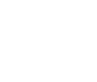 Falldorf Sensor GmbH Logo