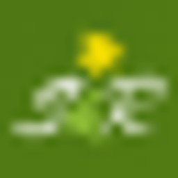 phenomenail Fingernagelstudio Logo