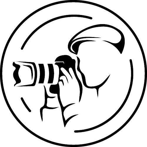 Photos of Art Logo