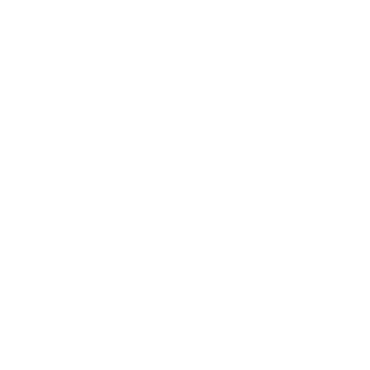 De Bruyn Logo