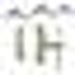 Hoegen Irmgard Logo