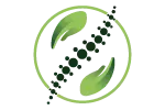 PhysioRied Praxis für Krankengymnastik Logo