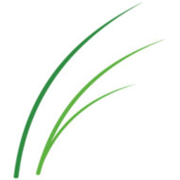 Physiotherapie Riedwiesen GbR Logo