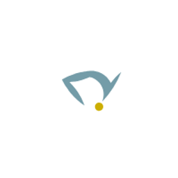 Salto - Zentrum für Physiotherapie GmbH Logo