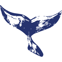 Pico Sport Logo