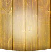 Gaststätte Pillhuhn Inh. W. Bergsträsser Logo