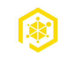 Pin Safe Logo