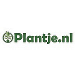 Plantje Logo