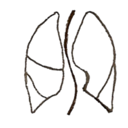 Schmidt Sabrina Lungenfachärztin Logo