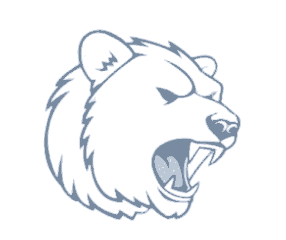 Polar Funded Logo