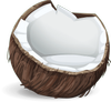 Polinda Logo