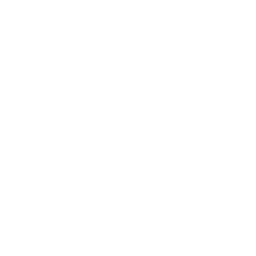 Polondo Logo