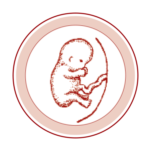 Pränatalpraxis Bochum, Vittinghoff Birgit Logo