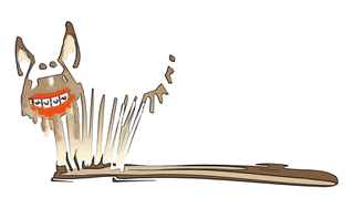 Afra Füsun Zahnärztin für Kieferorthopädie Logo