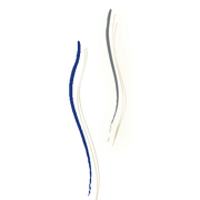 Rupnik Thomas Dr.med. Frauenarzt Logo