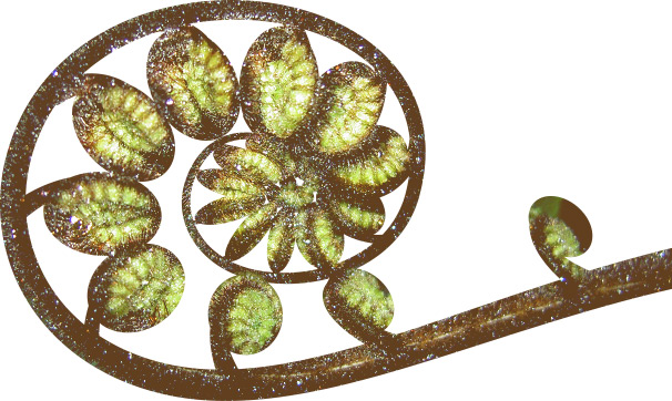 Angelika Eberhardt Paartherapie, Paarberatung Logo