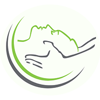 Physiotherapie Kleist Logo