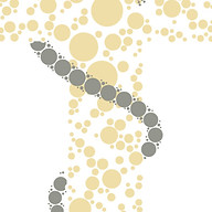 Tepe Praxis für Physiotherapie Logo