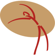 Bohl Cecil Praxis für Allgemeinmedizin Logo