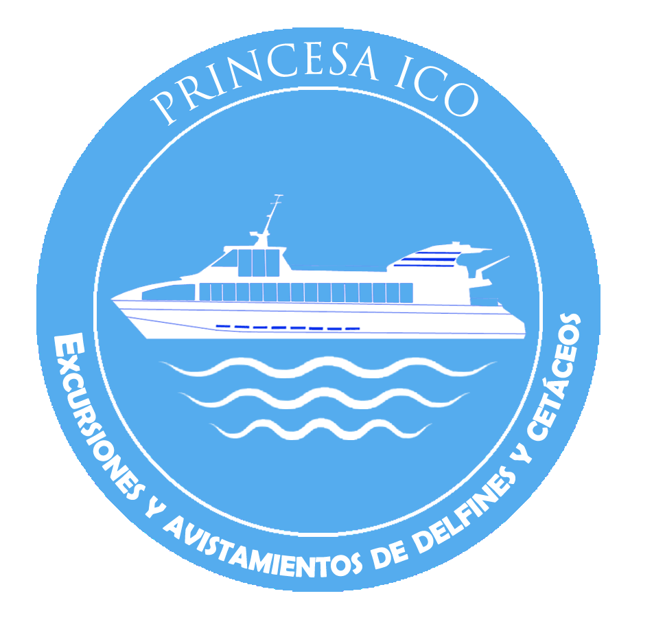 Princesa Ico y Delfín playa Logo