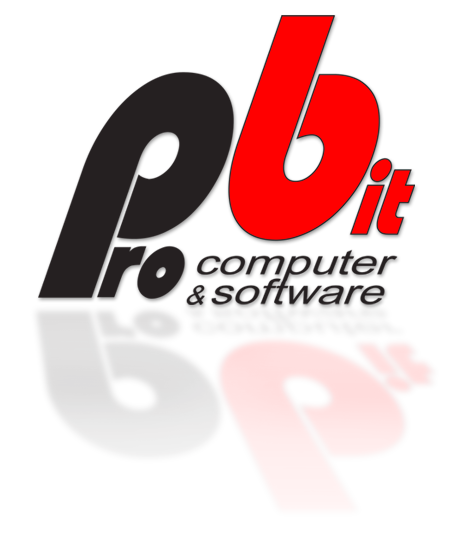 ProBit Computer & Software Logo