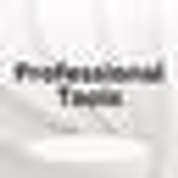 Professional Tools Logo
