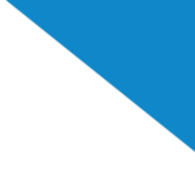 Pro Systems GmbH Logo