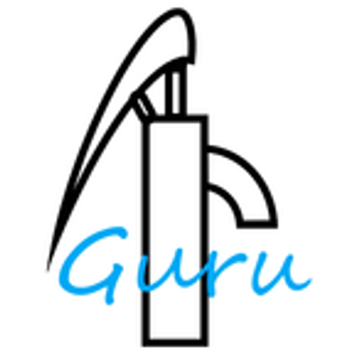 Pumpen Guru Logo