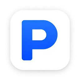 Punave Logo