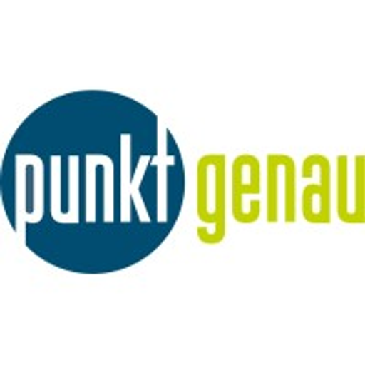 punktgenau GmbH Personalberatung Logo
