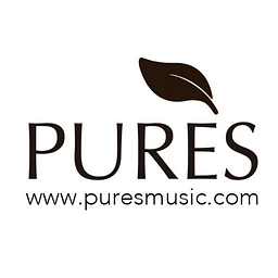 Puresmusic Logo