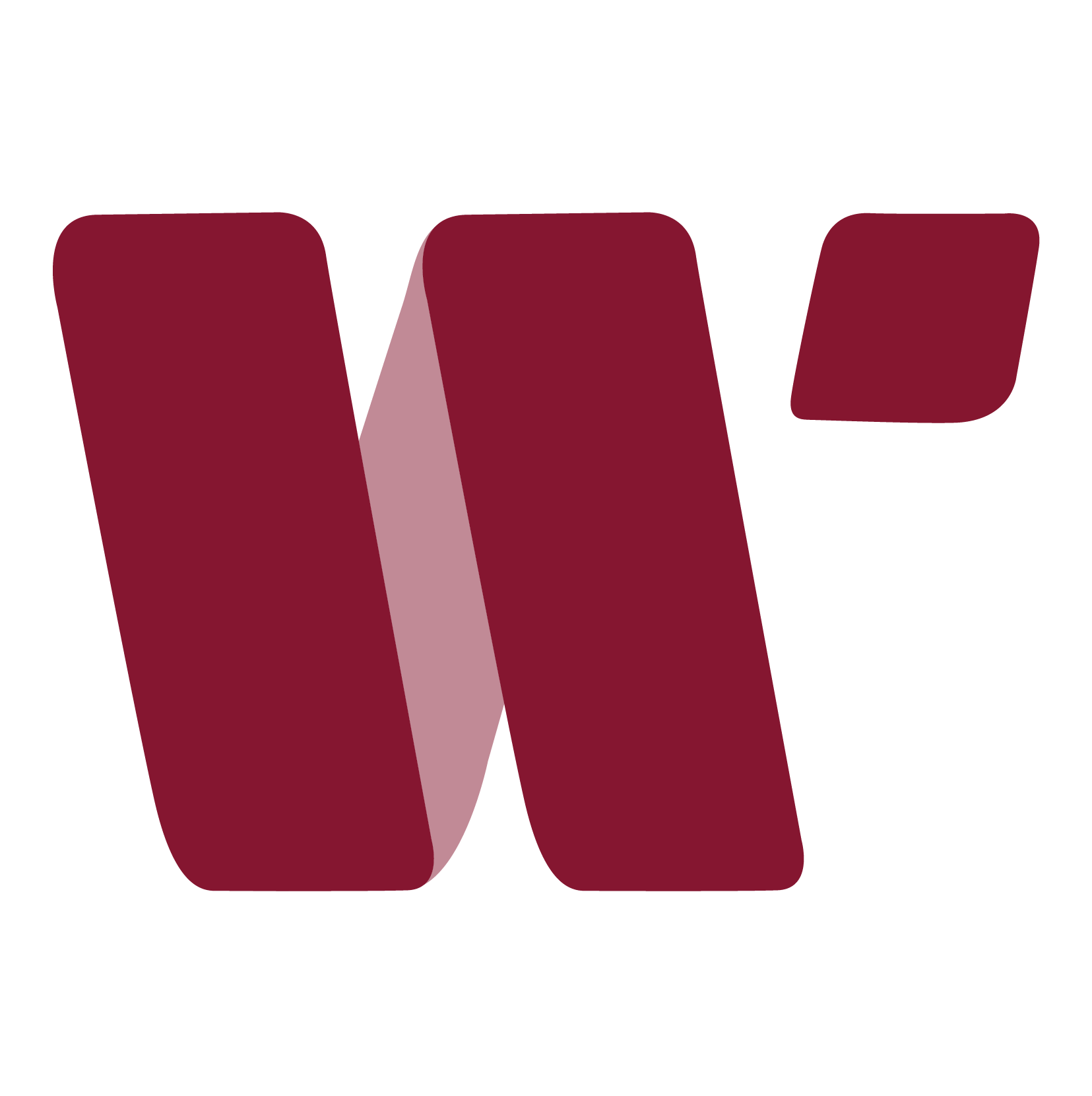 Werner Peter Dipl.Kfm. Steuerberater Logo