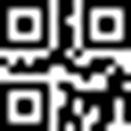 QR Logo