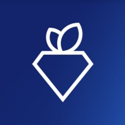 Rare Carat Logo