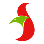 Service- Bund Gebietszentrale Wurzen GmbH Logo