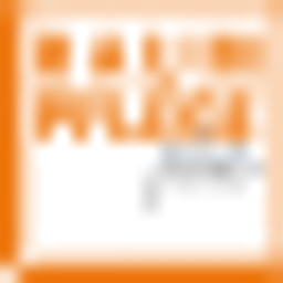 RAUMPFLEGE plus Logo