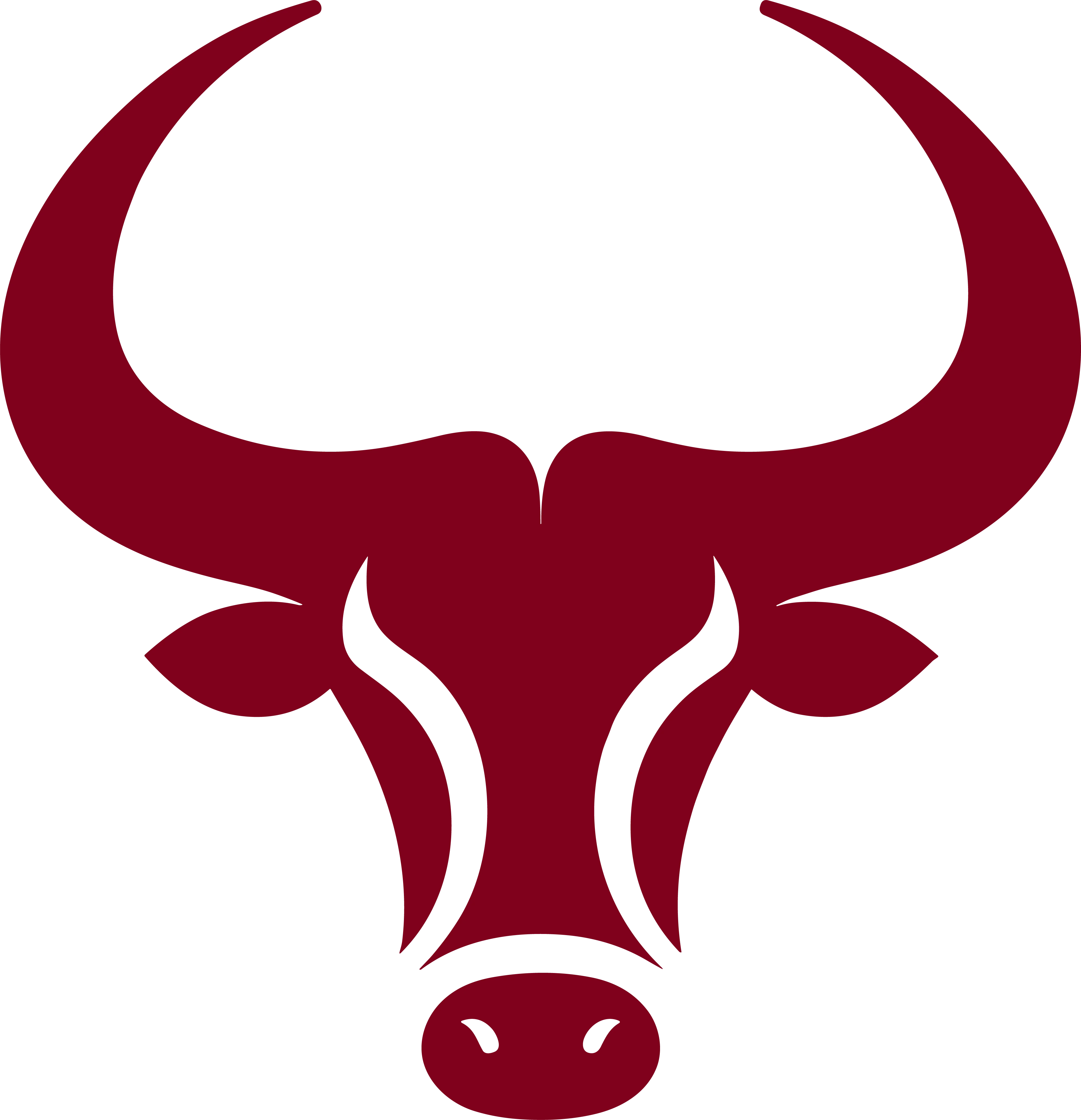 Rawanimal Logo