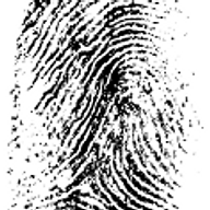Rechtsanwalt Raphael Botor Logo