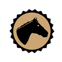 Reitpädagogik Fries - Dein Partner Pferd Logo